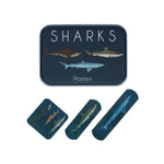 Load image into Gallery viewer, Rex London - Sharks Plasters In A Tin (Pack Of 30)