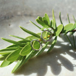 Load image into Gallery viewer, Fern Huggies