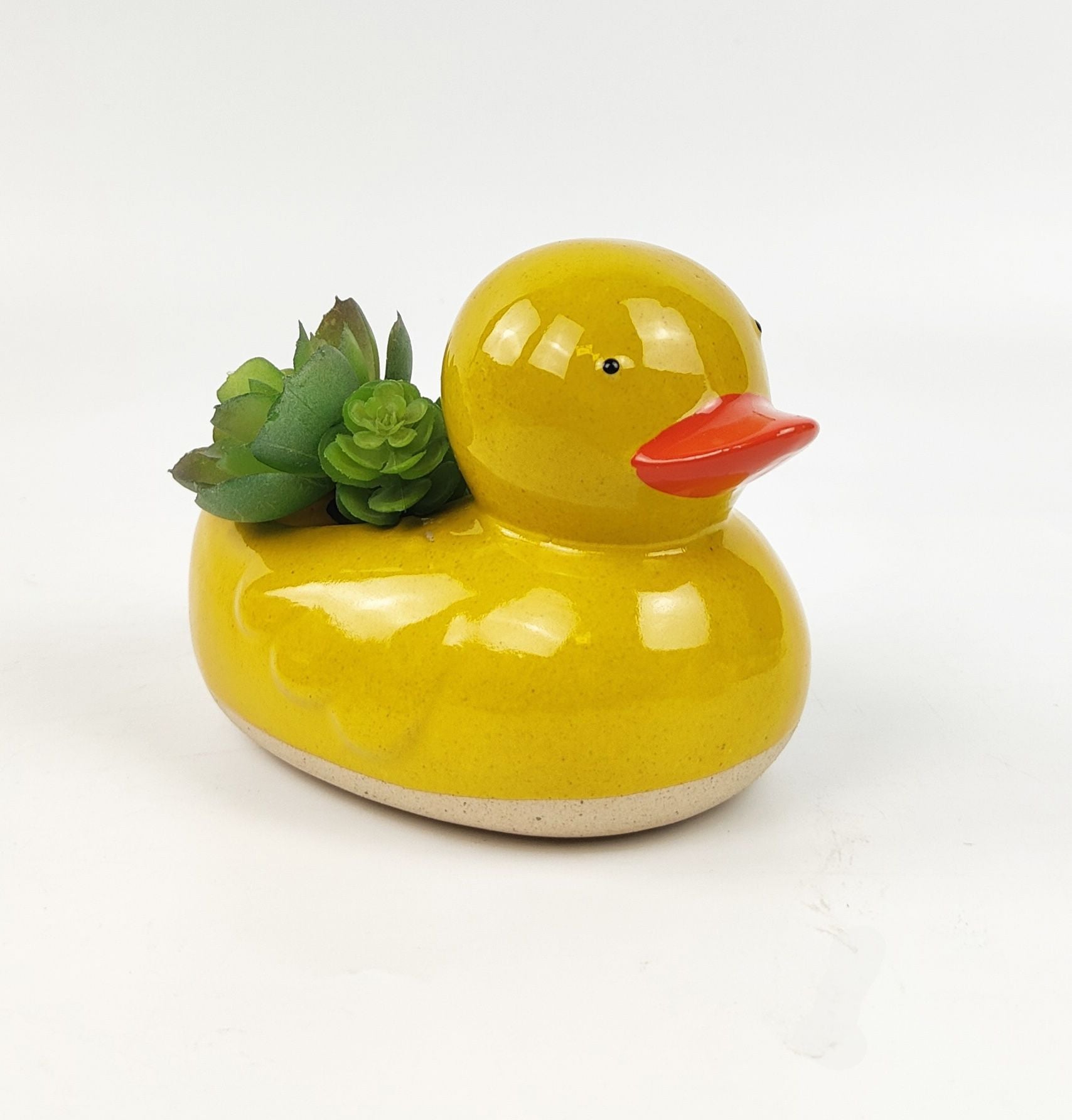 Ducky planter