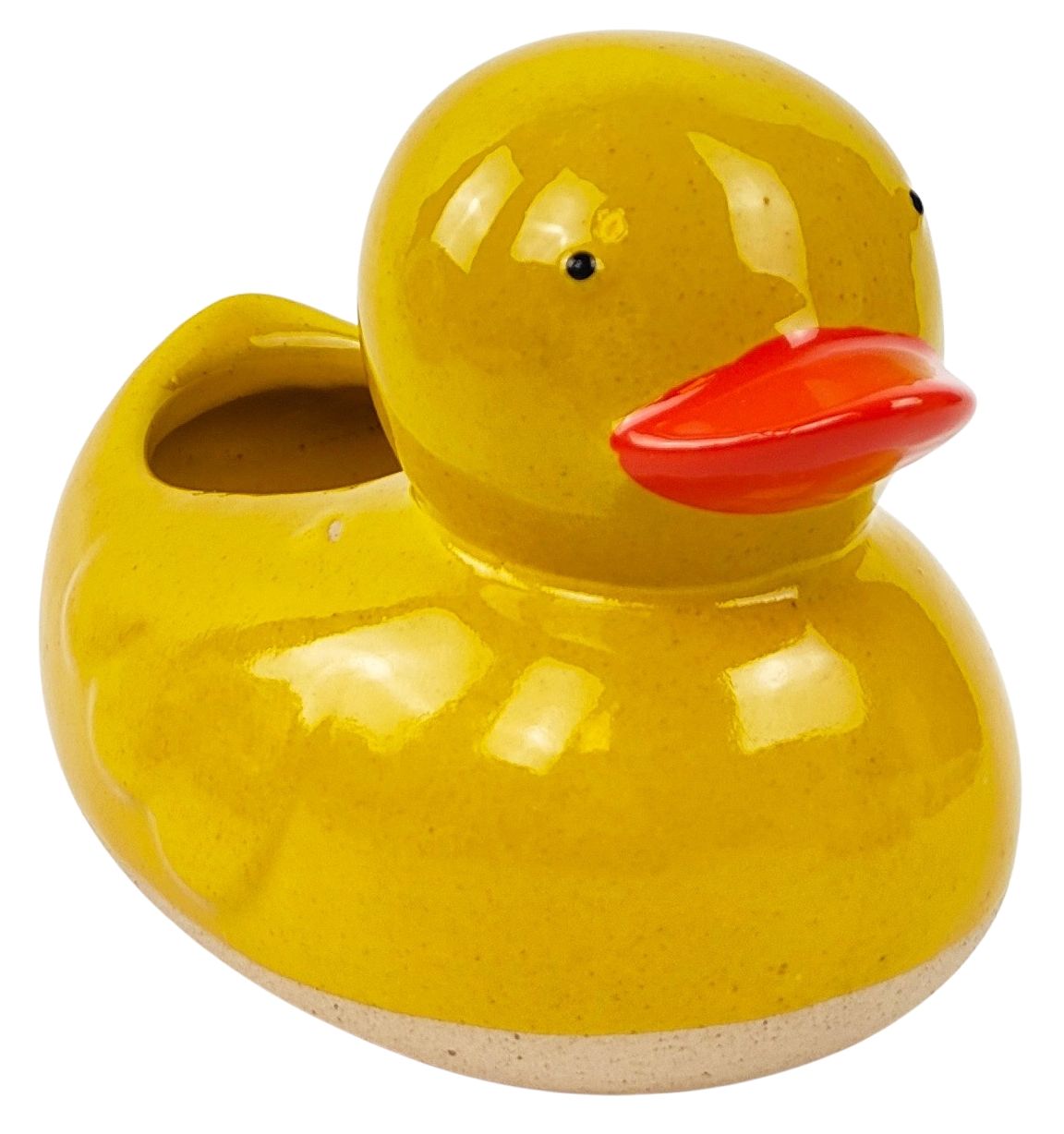 Ducky planter