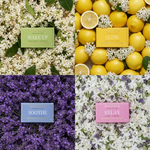 Load image into Gallery viewer, Quiet Morning Shower Steamer Four Pack
