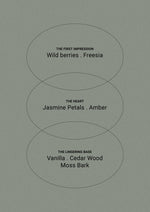 Load image into Gallery viewer, Smith &amp; Co Amber &amp; Freesia
Reed Diffuser 50ml
