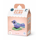 Load image into Gallery viewer, Kuwi Clay air dry clay tiny tui in a small box with a purple-blue clay bird.
