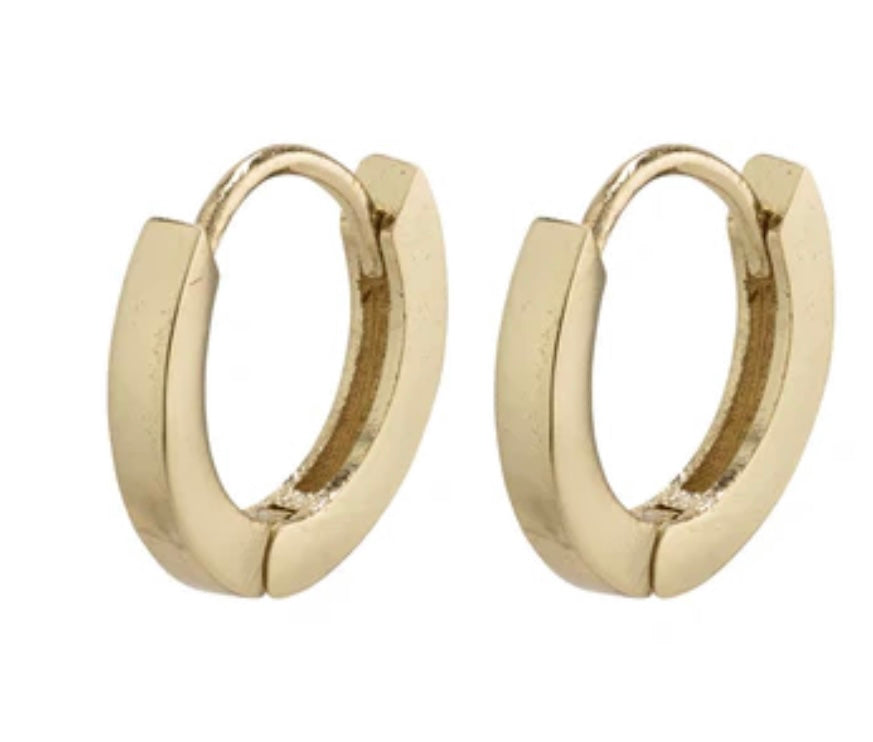 Arnelle gold plated earrings