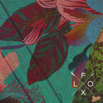 Load image into Gallery viewer, Flox Magnolia and Moth 1000 piece puzzle
